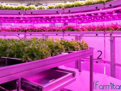 Vertical Farming: Innovation for a Sustainable Future